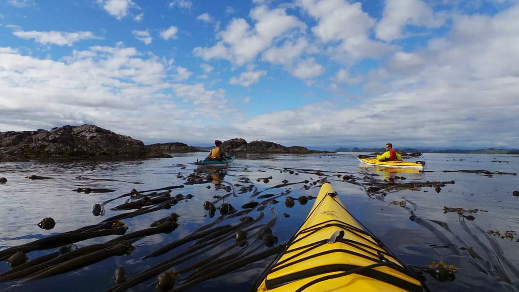a view from the kayak on the see kayaking adventure - Broken Group Islands BC, Canada 