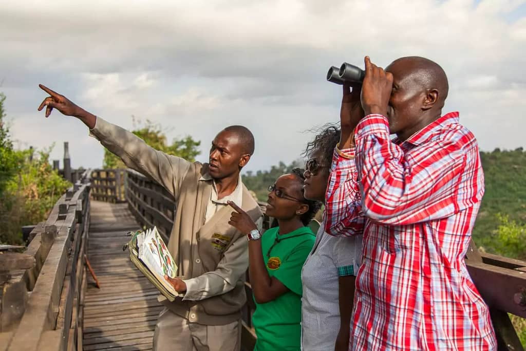 Kenya Safari Trip guides Birdwatching