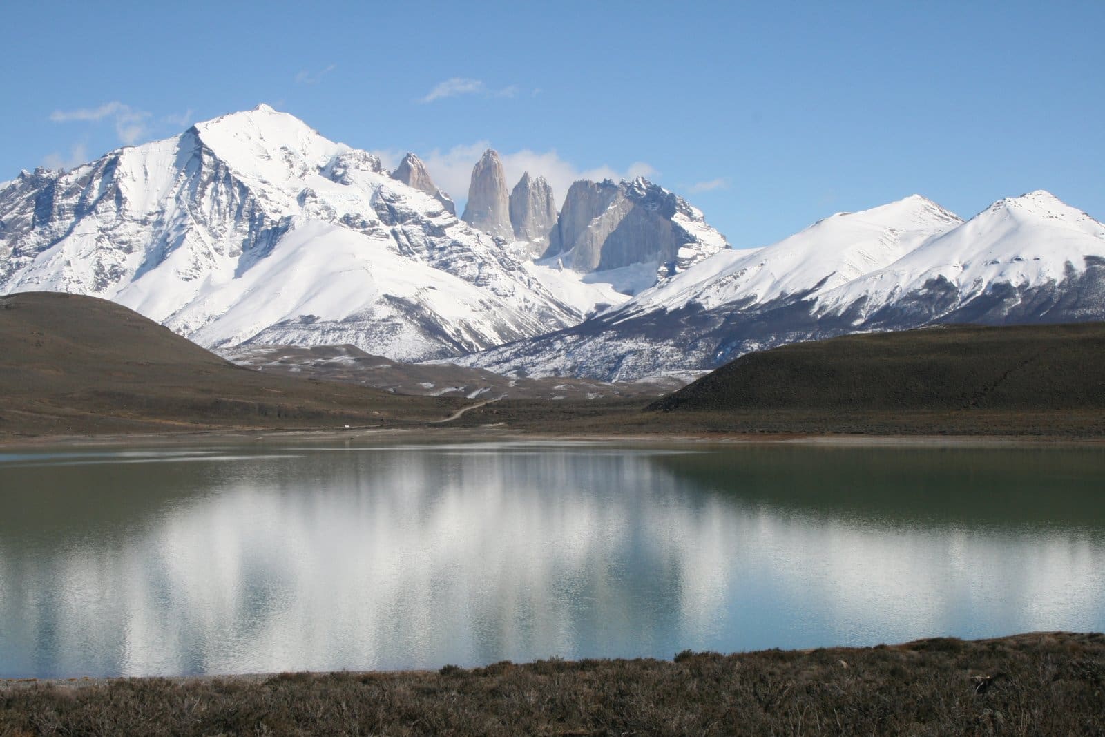 Torres del Paine - Chilean Patagonia Wildlife Tour