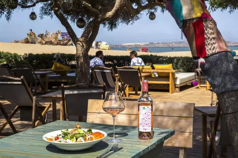 Delicious Moroccan food and wine with a stunning view